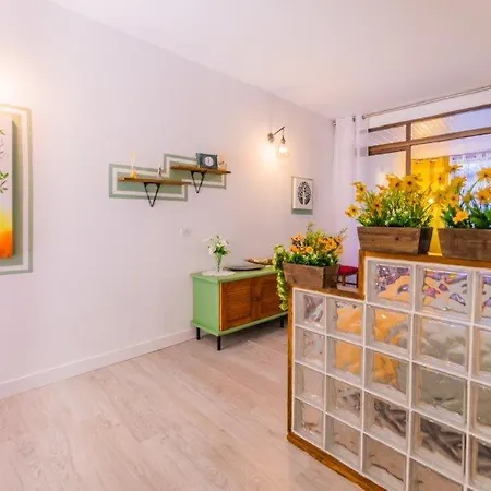 Drago 366 * 德尔锡伦西奥海岸