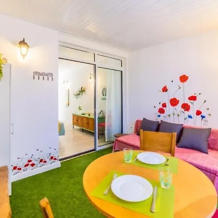 Drago 366 德尔锡伦西奥海岸